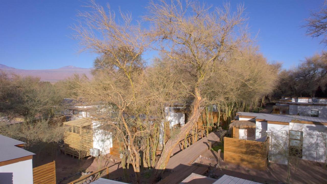 سان بيدرو دي أتاكاما Lodge Quelana المظهر الخارجي الصورة