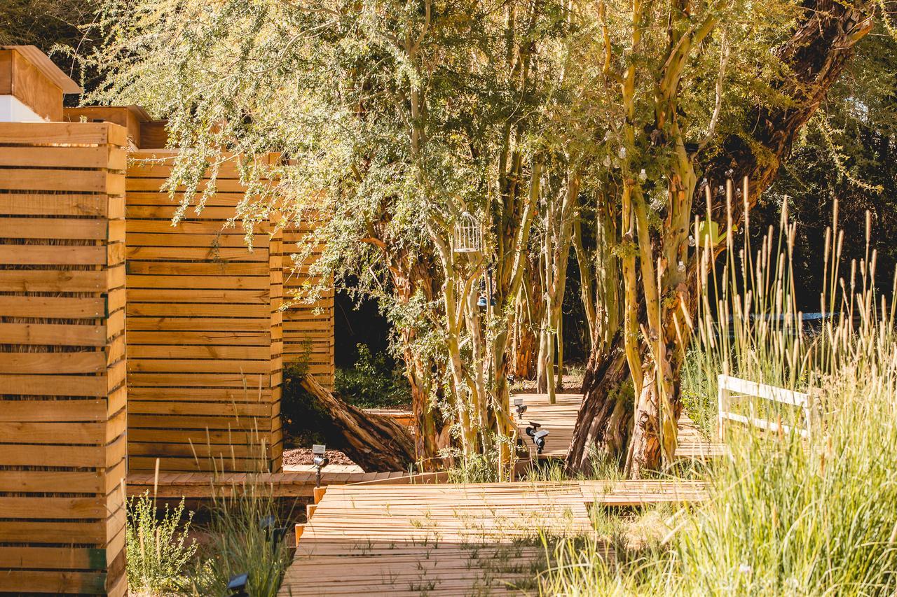 سان بيدرو دي أتاكاما Lodge Quelana المظهر الخارجي الصورة